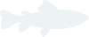 c7娱乐官网
