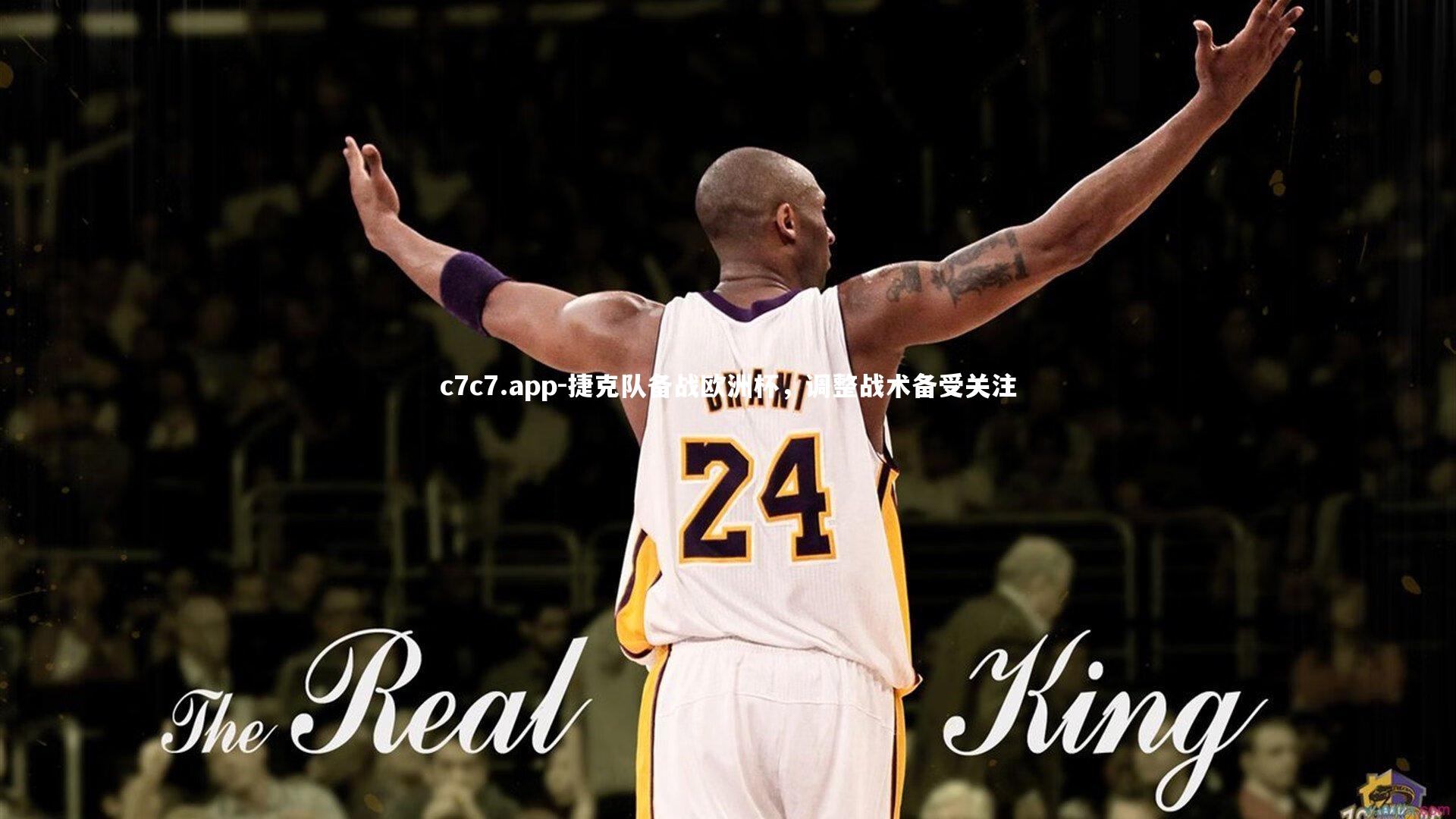 捷克队备战欧洲杯,调整战术备受关注