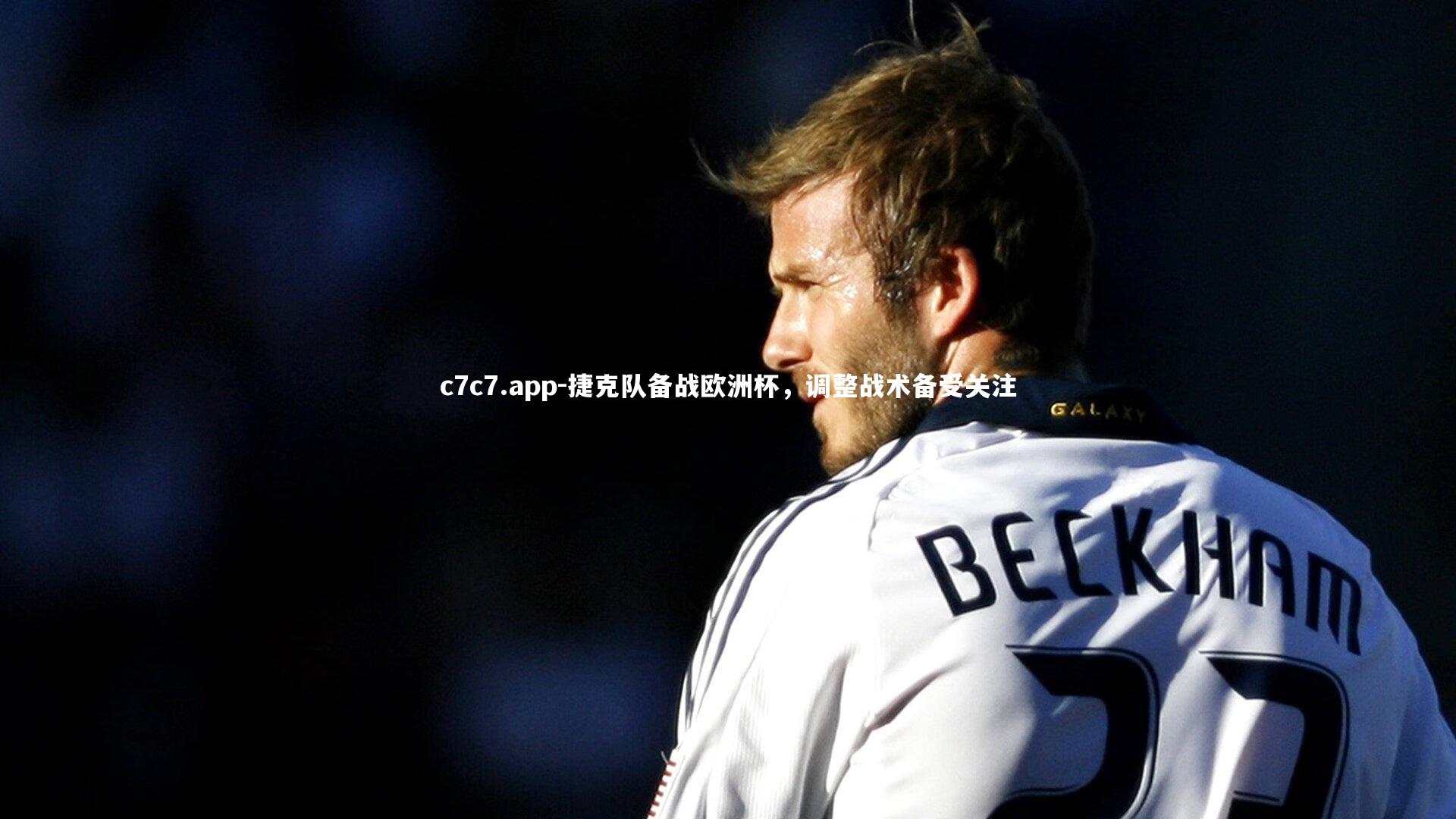 捷克队备战欧洲杯,调整战术备受关注