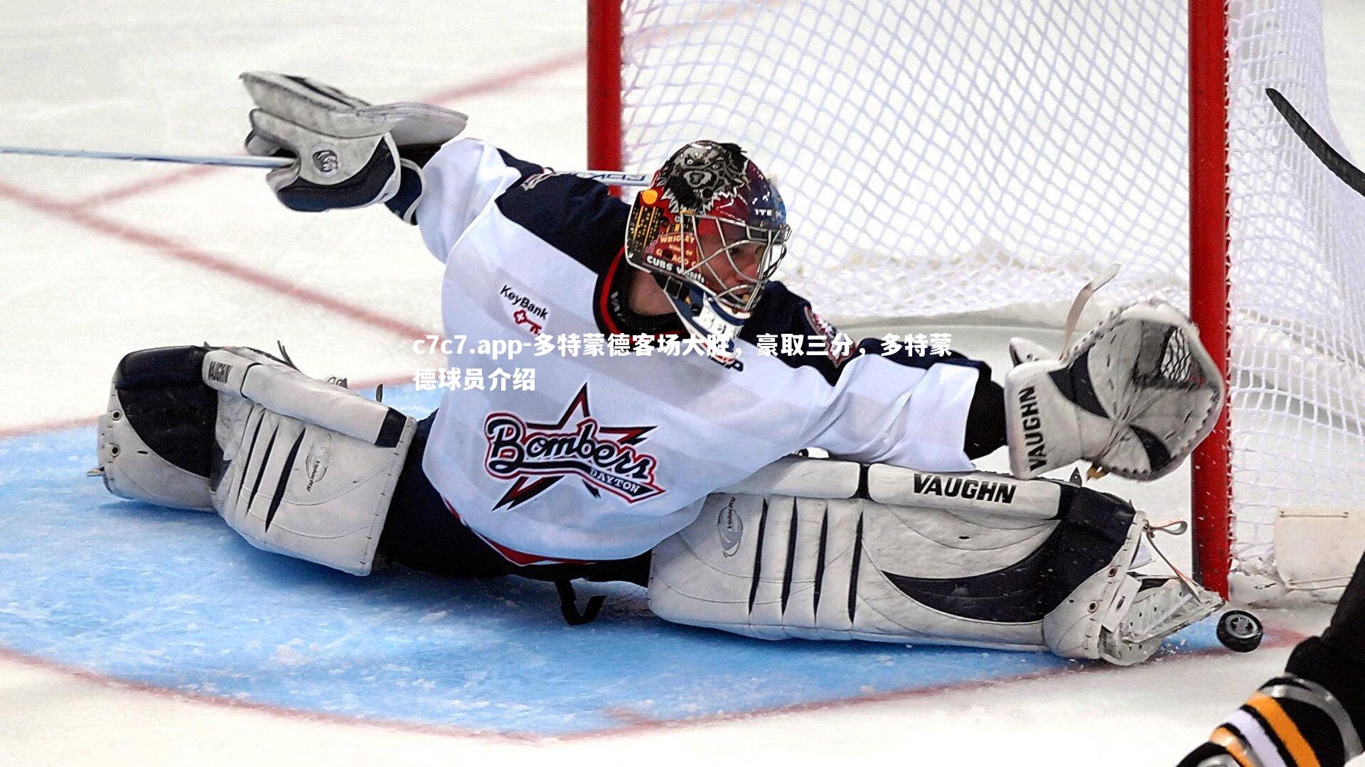 多特蒙德客场大胜，豪取三分，多特蒙德球员介绍