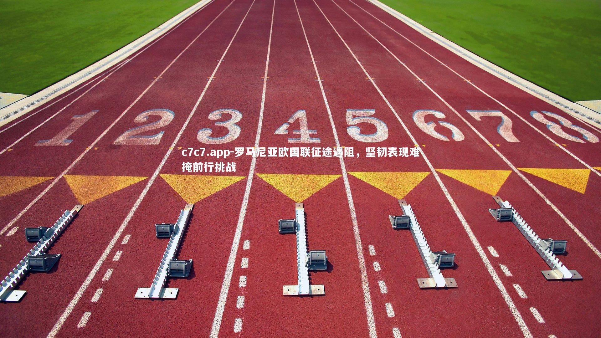 罗马尼亚欧国联征途遇阻,坚韧表现难掩前行挑战